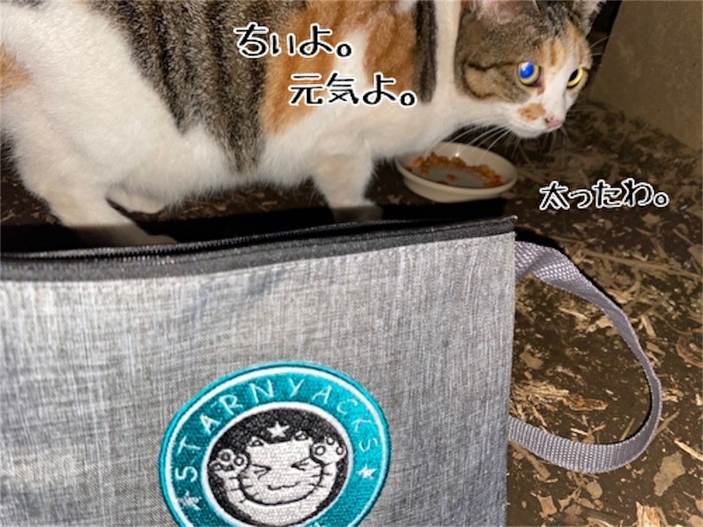 f:id:fukufukudo:20210919134515j:plain