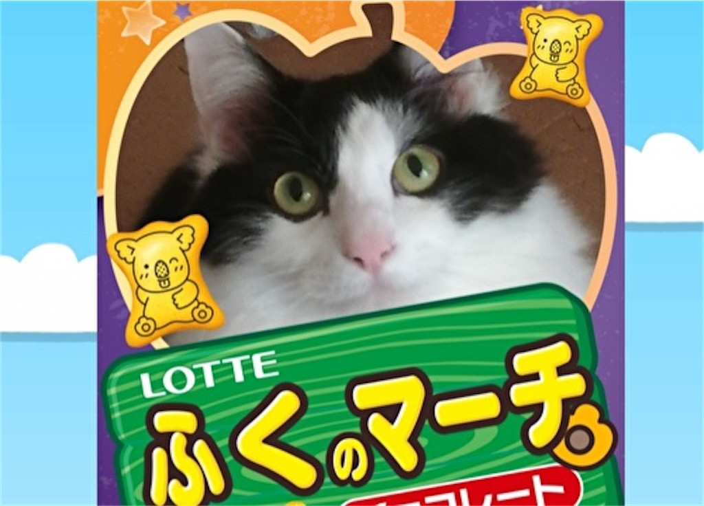 f:id:fukufukudo:20210920075607j:plain