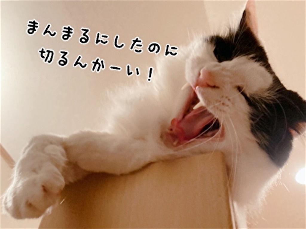 f:id:fukufukudo:20210923171707j:plain