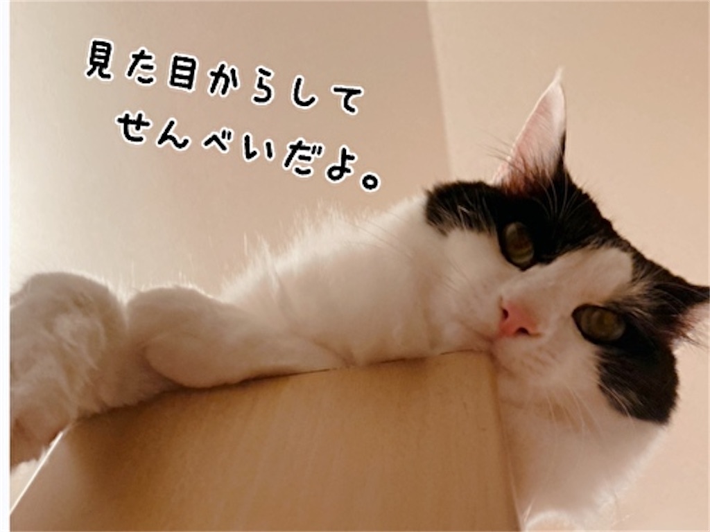 f:id:fukufukudo:20210923171718j:plain