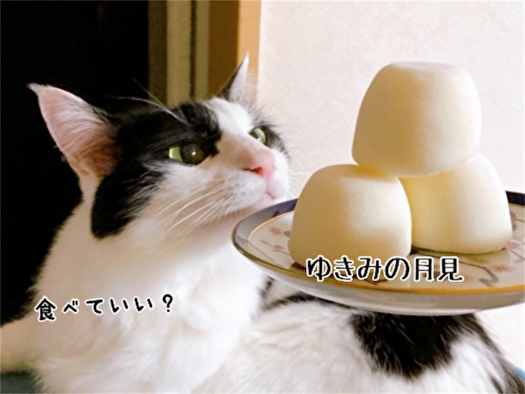 f:id:fukufukudo:20210923184135j:plain