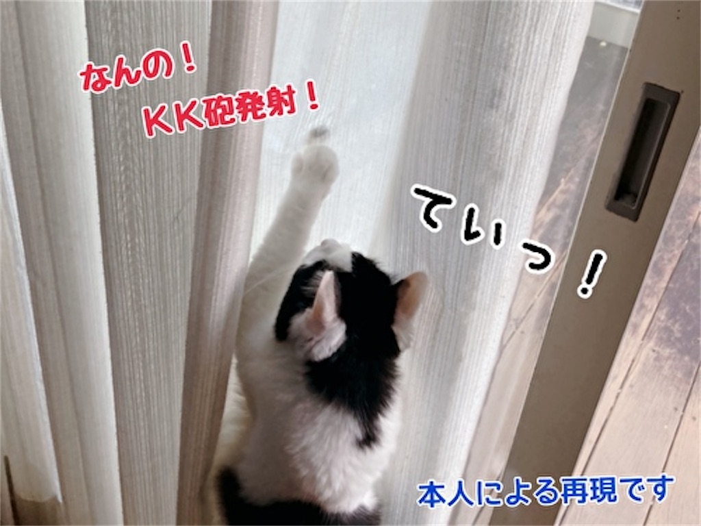 f:id:fukufukudo:20210924173624j:plain