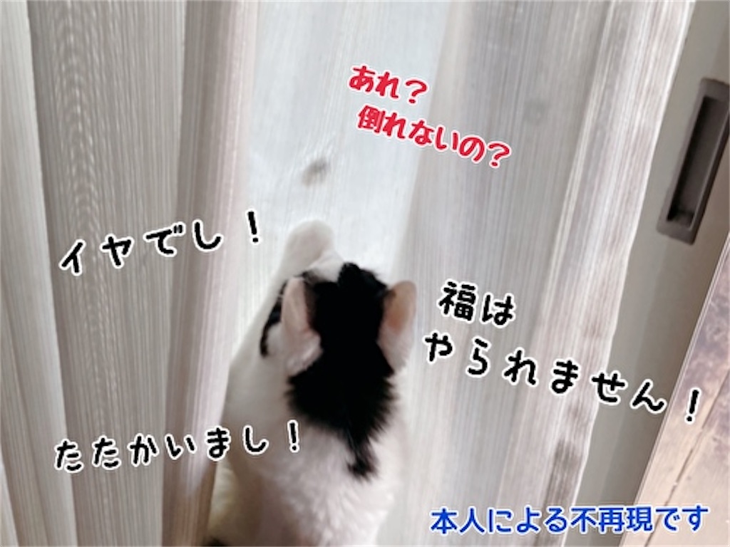 f:id:fukufukudo:20210924173715j:plain