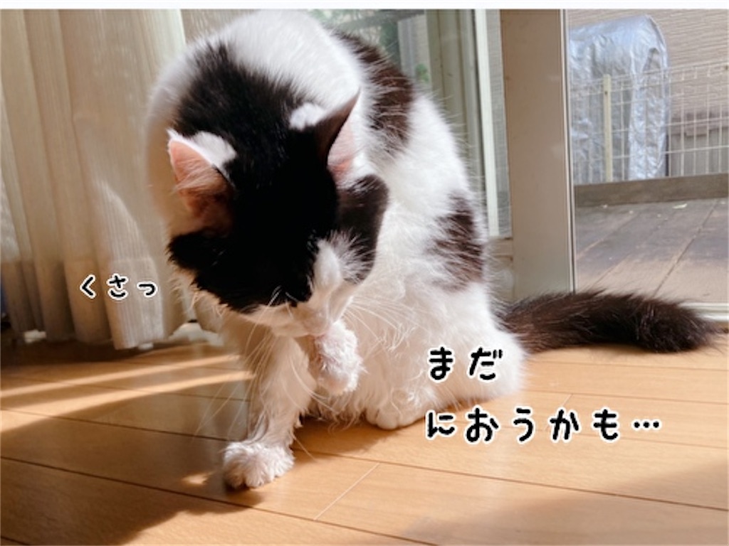 f:id:fukufukudo:20210924173732j:plain