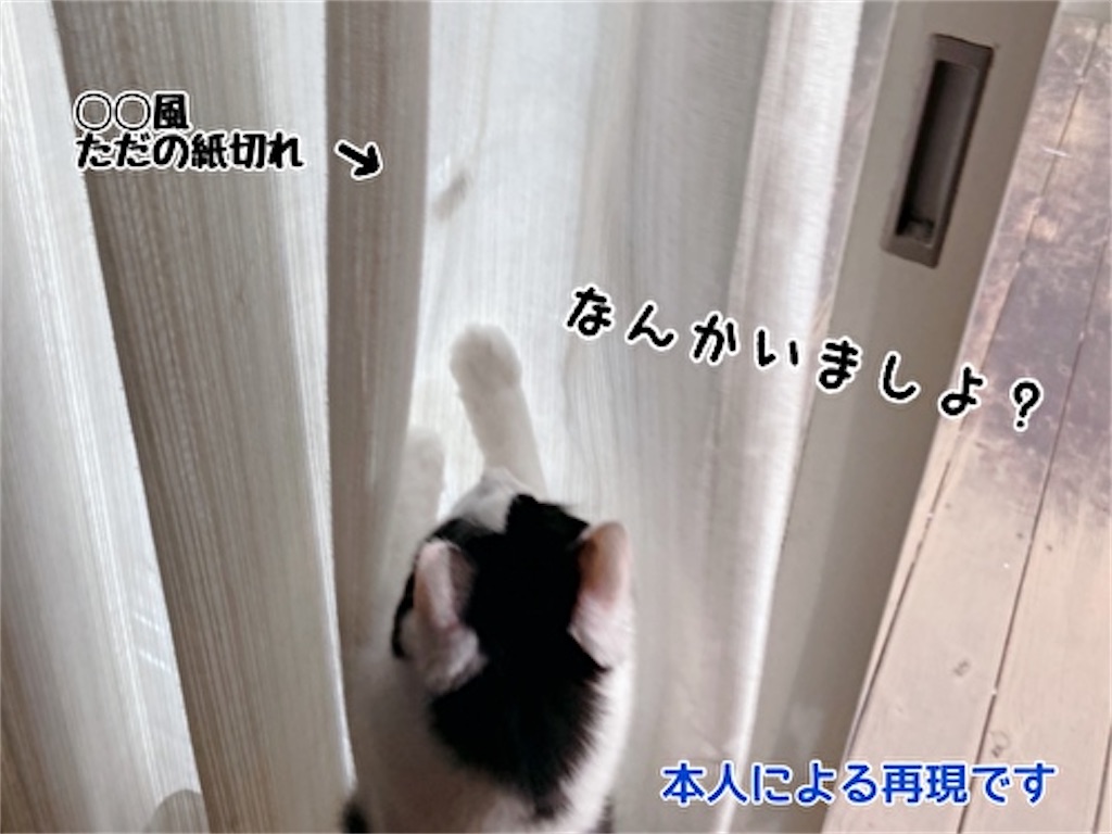f:id:fukufukudo:20210924174027j:plain