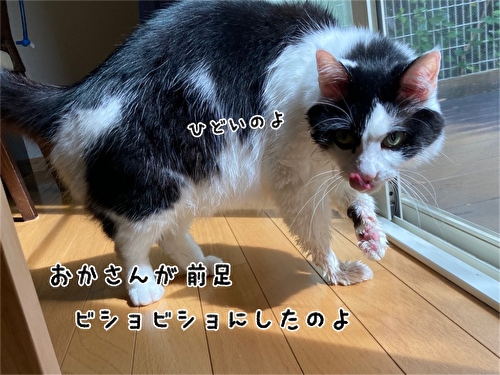 f:id:fukufukudo:20210925104312j:plain