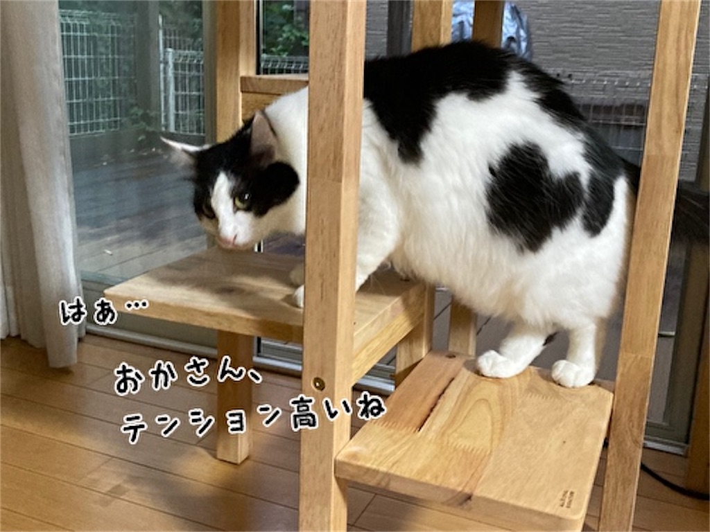 f:id:fukufukudo:20210927132200j:plain