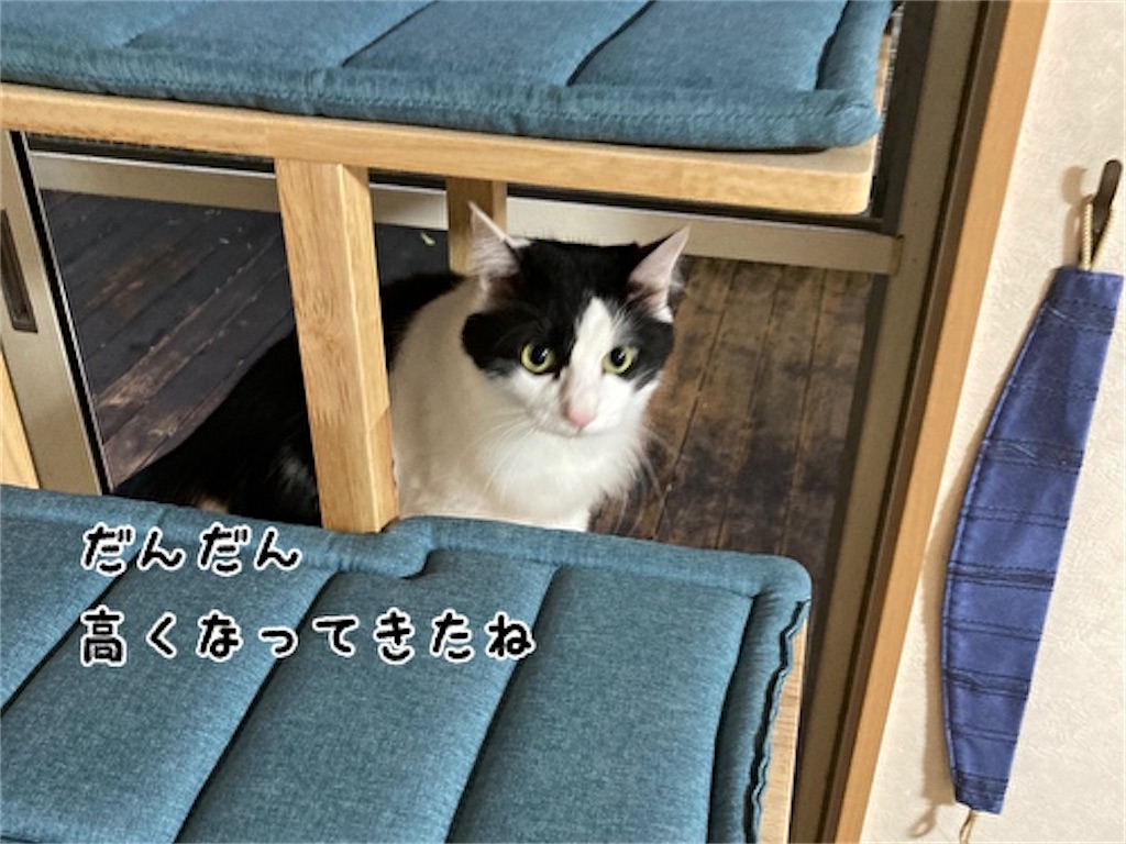 f:id:fukufukudo:20210927132211j:plain