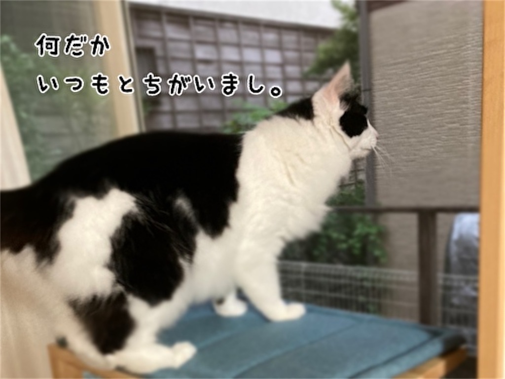 f:id:fukufukudo:20210927132224j:plain
