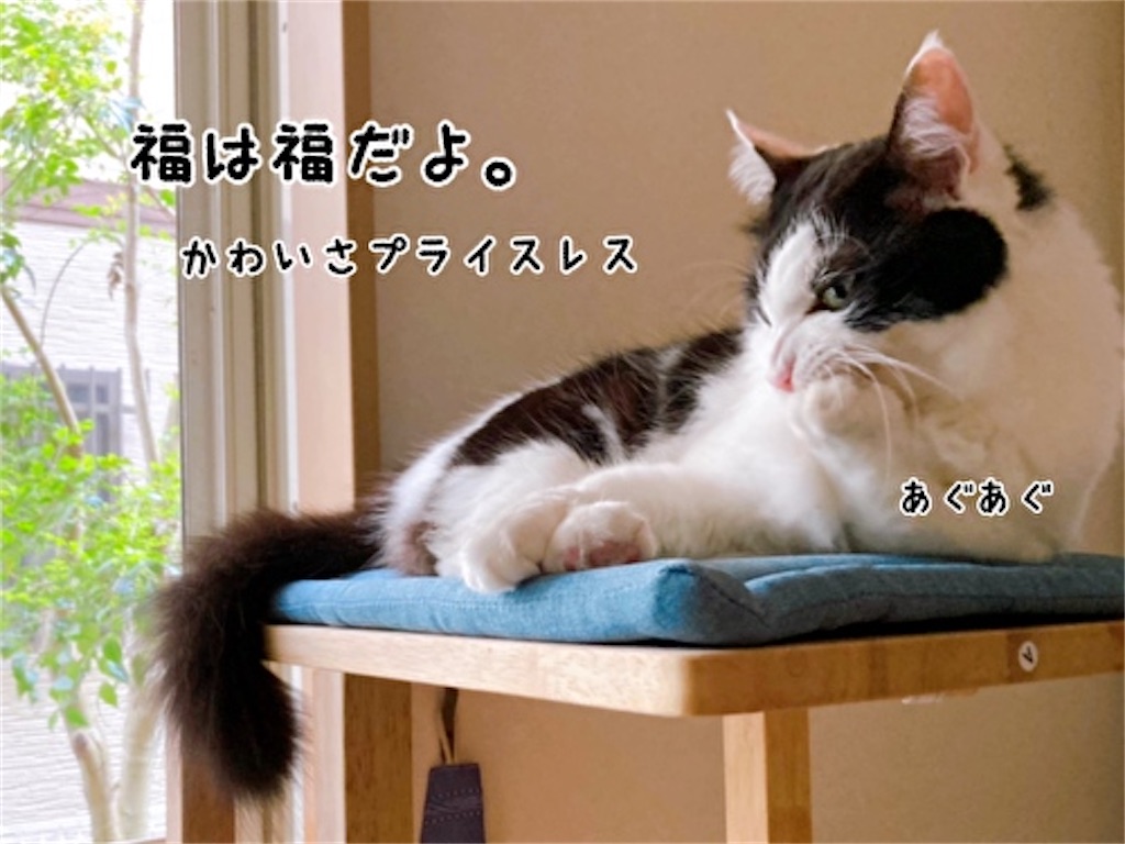 f:id:fukufukudo:20210927133316j:plain