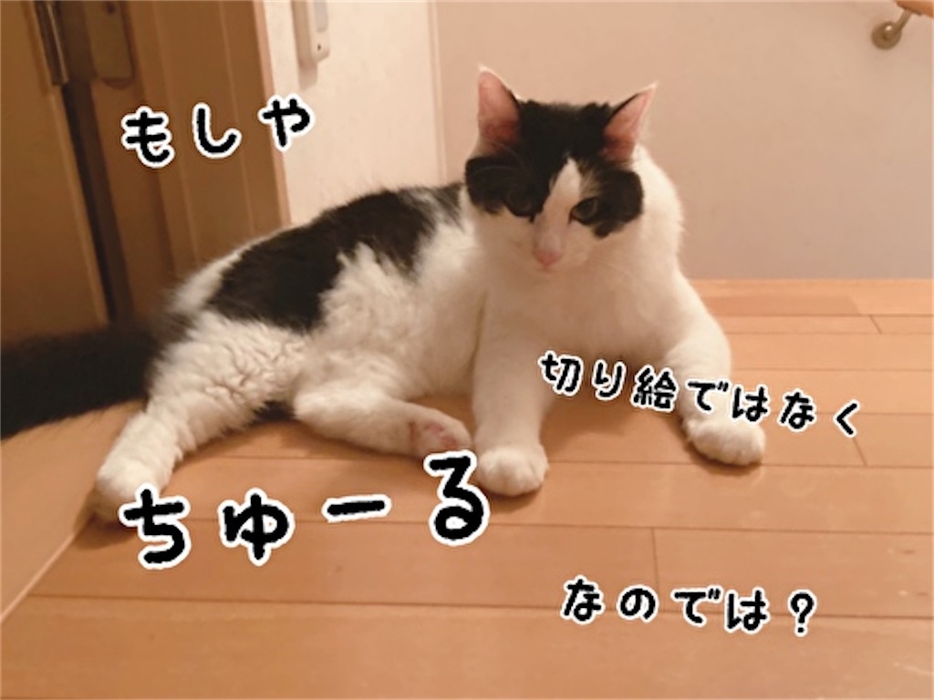 f:id:fukufukudo:20211002185147j:plain