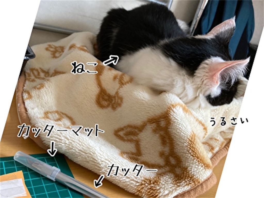 f:id:fukufukudo:20211002185213j:plain