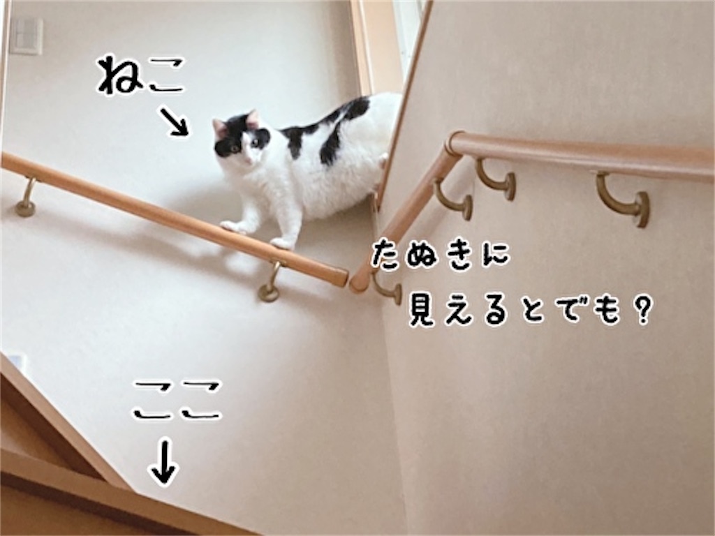 f:id:fukufukudo:20211003082128j:plain