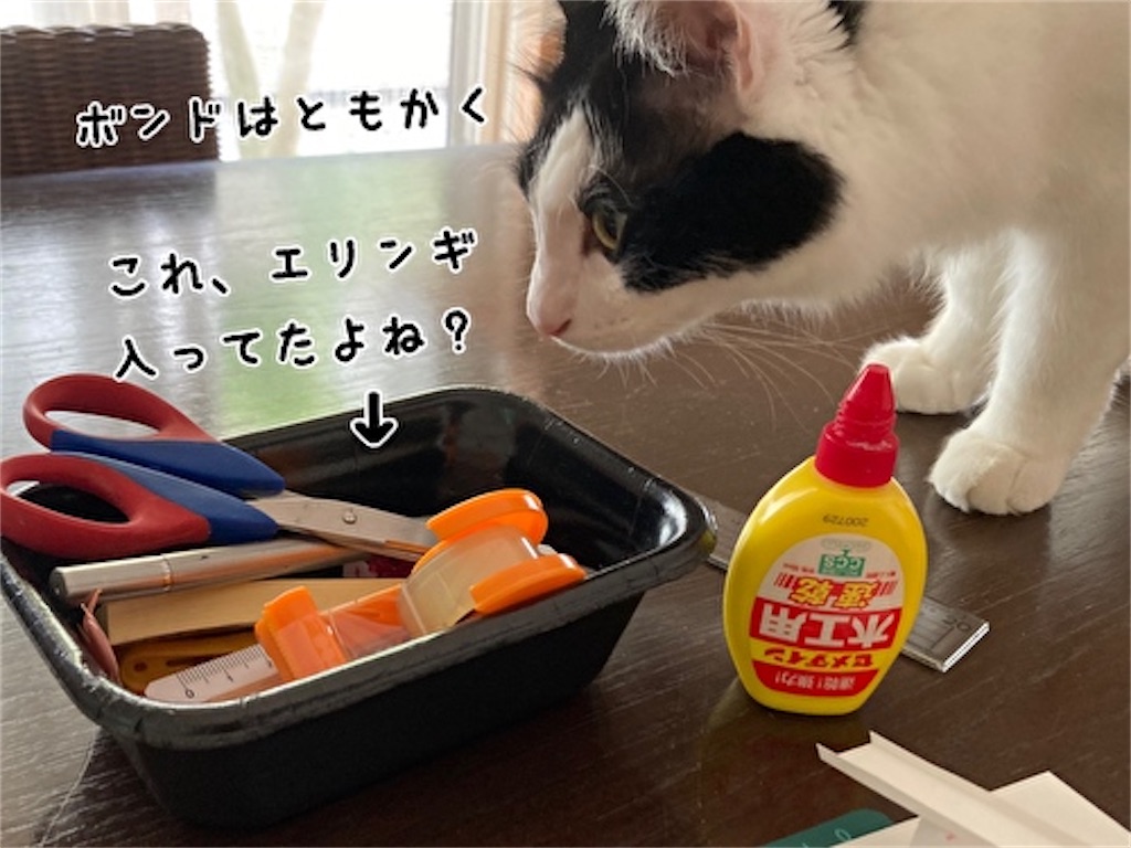 f:id:fukufukudo:20211003142944j:plain