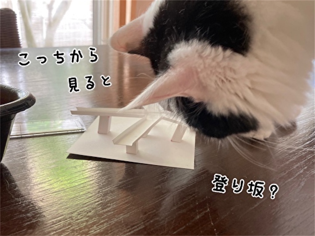 f:id:fukufukudo:20211003143018j:plain