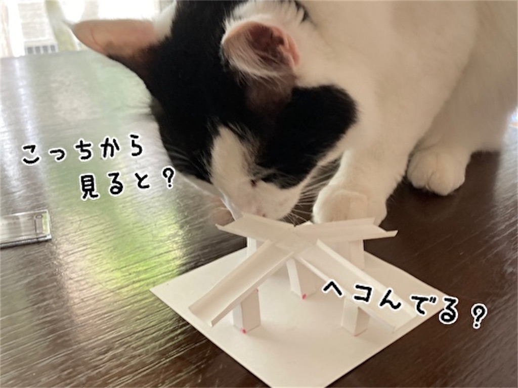 f:id:fukufukudo:20211003143032j:plain