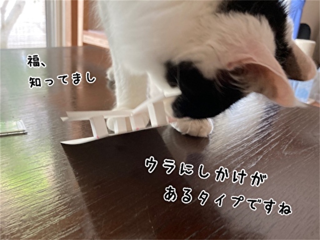 f:id:fukufukudo:20211003143105j:plain