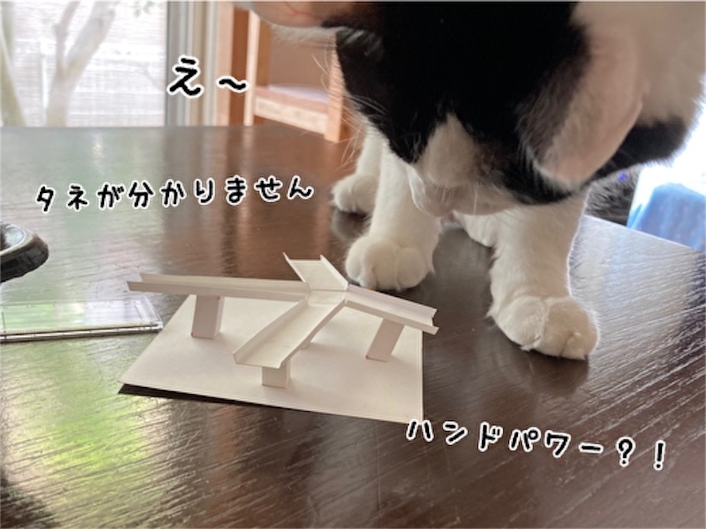 f:id:fukufukudo:20211003143138j:plain