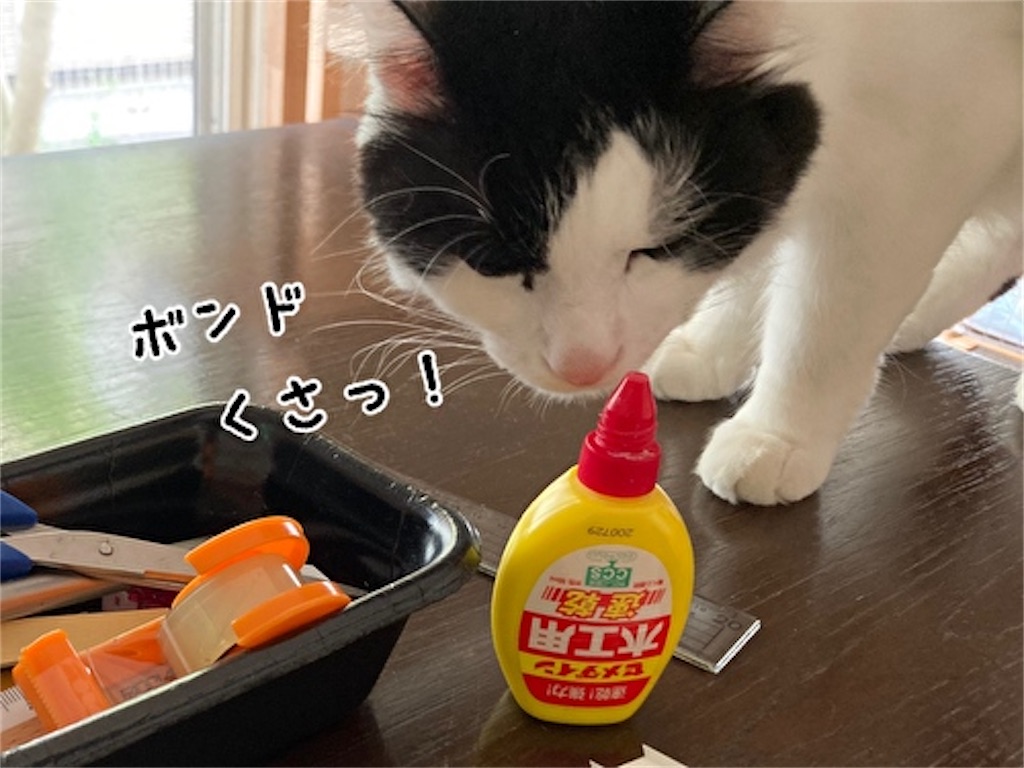 f:id:fukufukudo:20211003143635j:plain