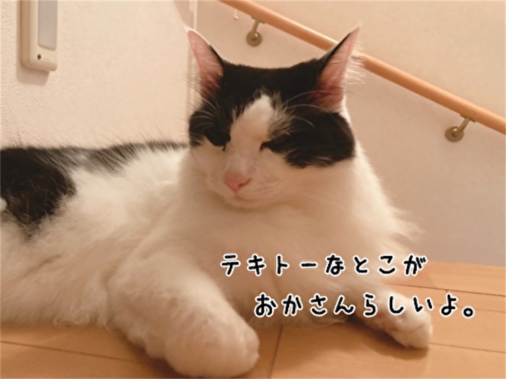 f:id:fukufukudo:20211003170601j:plain