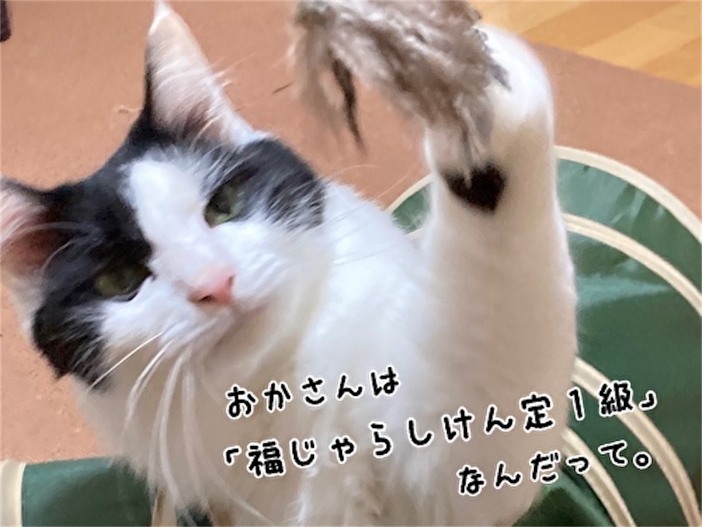 f:id:fukufukudo:20211006123827j:plain
