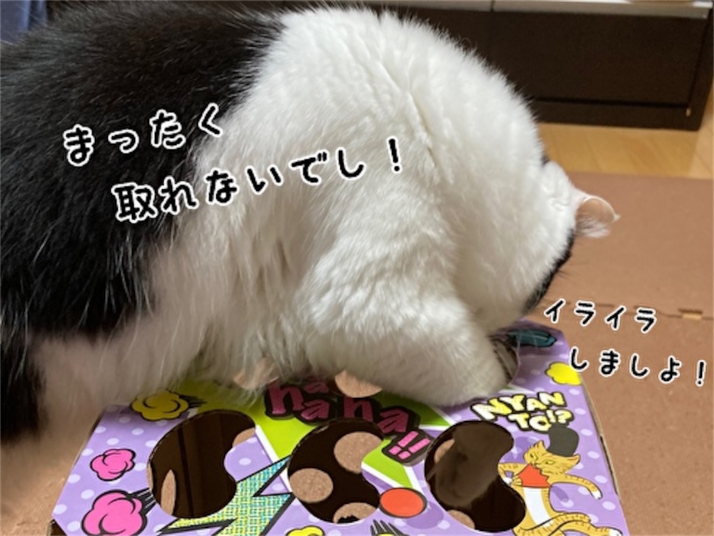 f:id:fukufukudo:20211006123845j:plain