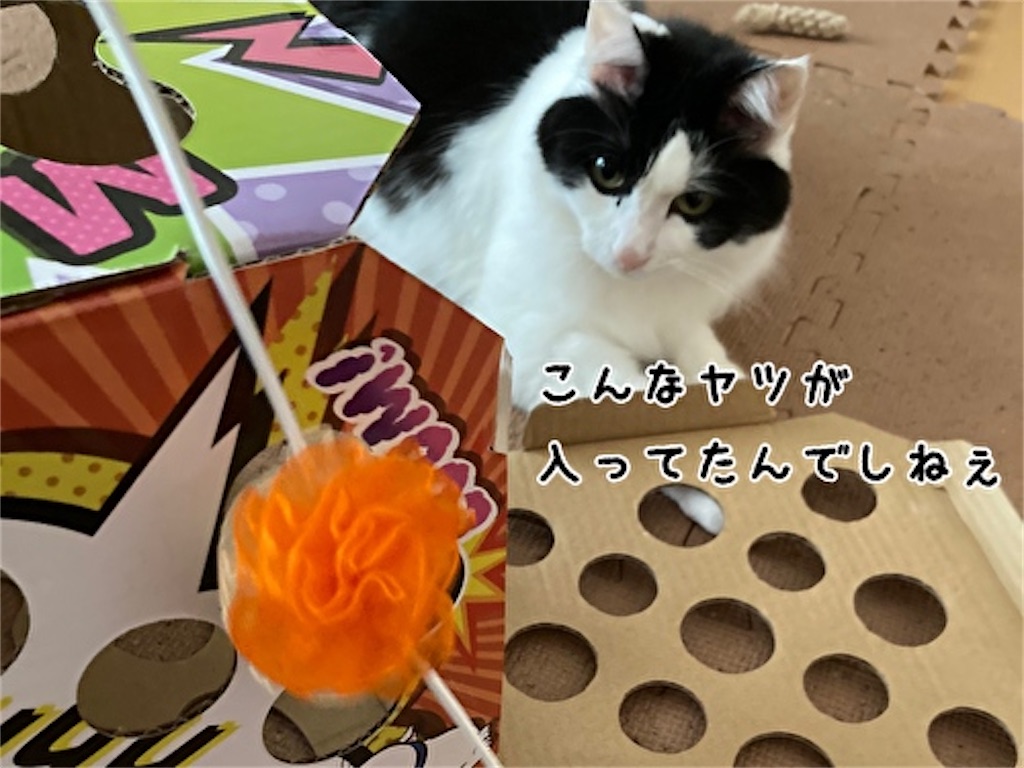 f:id:fukufukudo:20211006123906j:plain