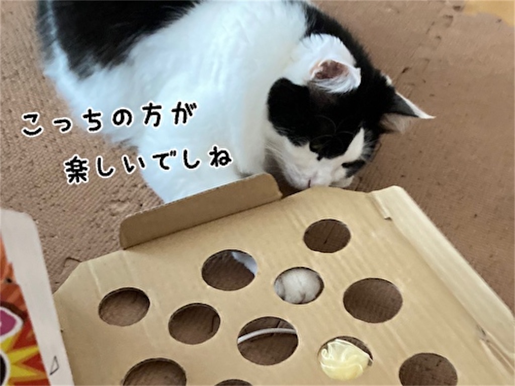 f:id:fukufukudo:20211006163015j:plain