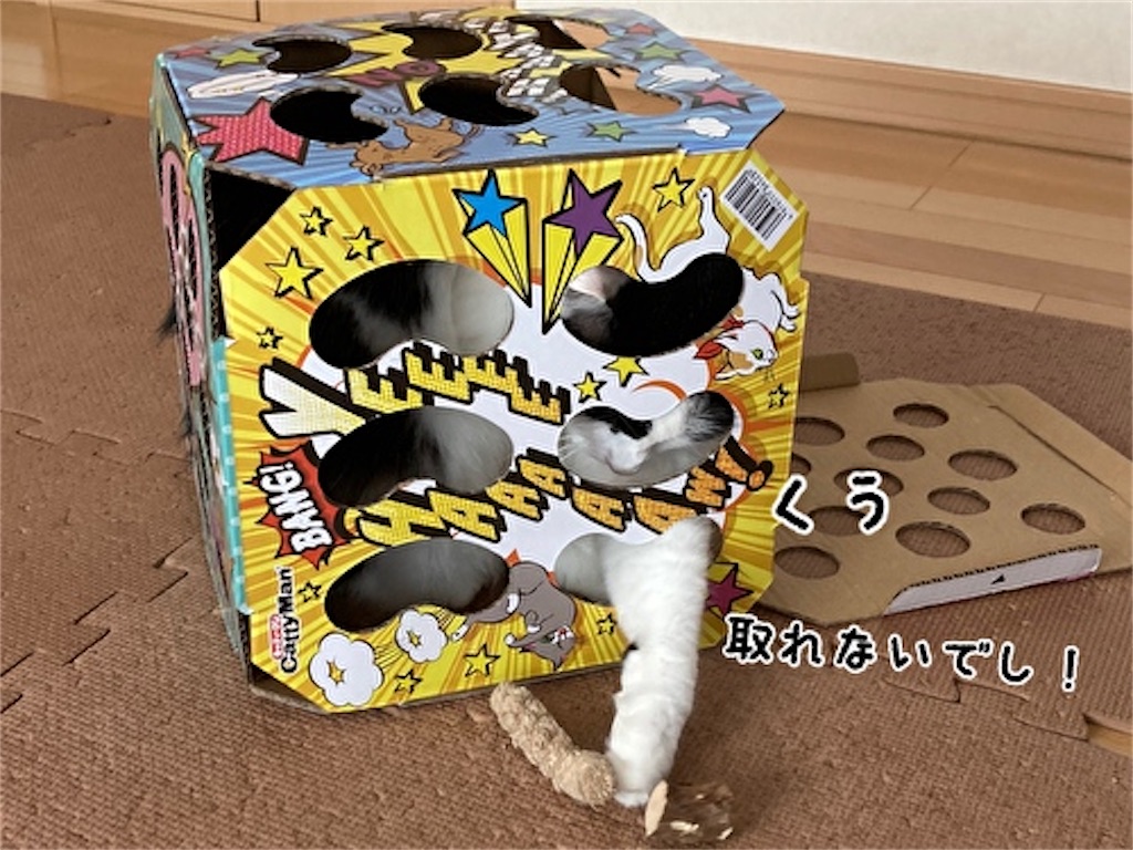 f:id:fukufukudo:20211006163049j:plain