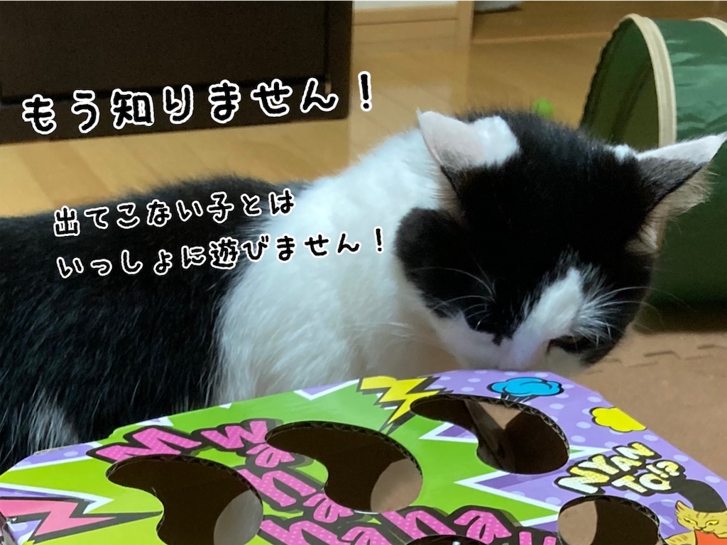 f:id:fukufukudo:20211006163536j:plain
