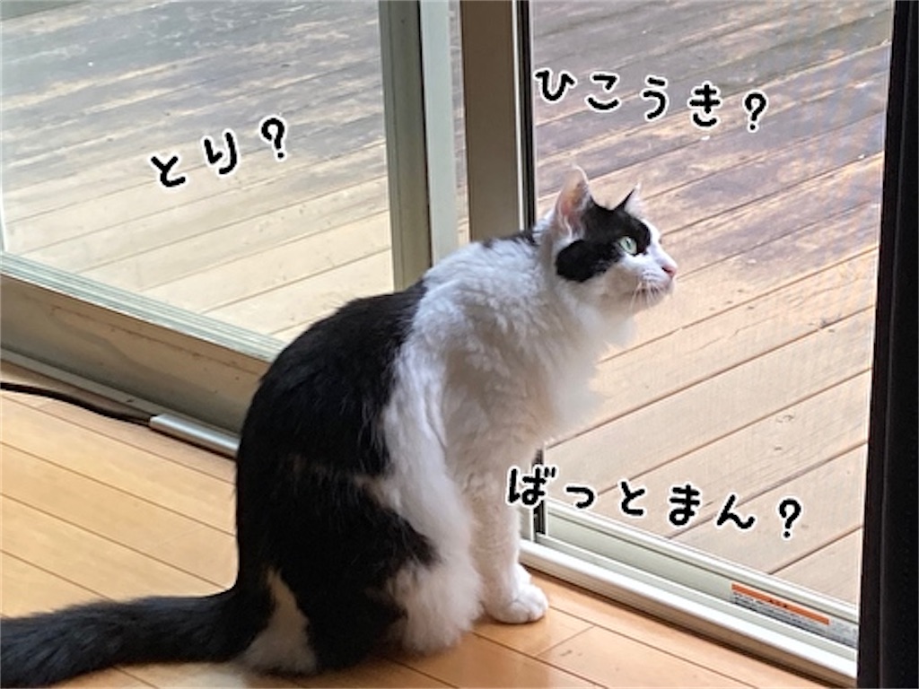 f:id:fukufukudo:20211006174624j:plain