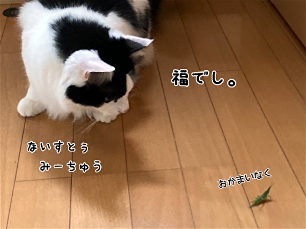 f:id:fukufukudo:20211009133851j:plain