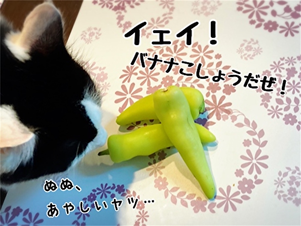 f:id:fukufukudo:20211009133904j:plain