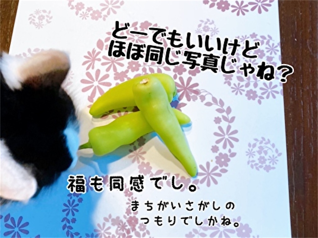 f:id:fukufukudo:20211009134225j:plain