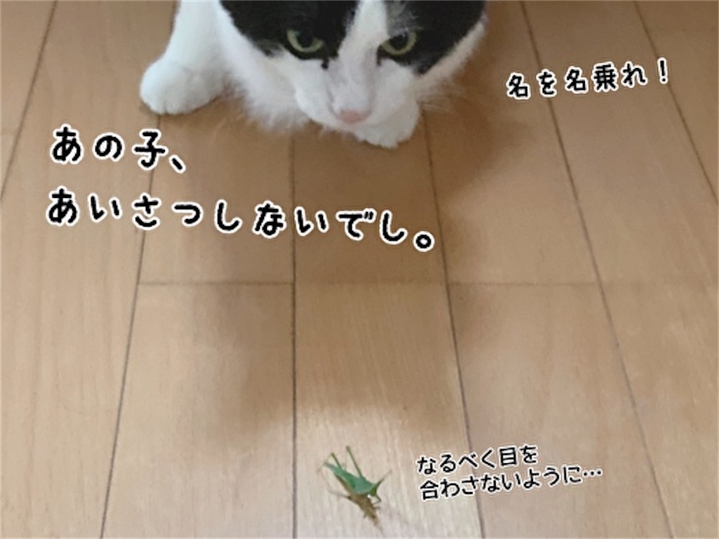 f:id:fukufukudo:20211009140714j:plain