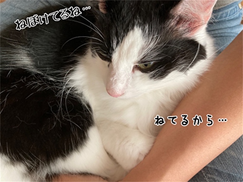 f:id:fukufukudo:20211013145943j:plain