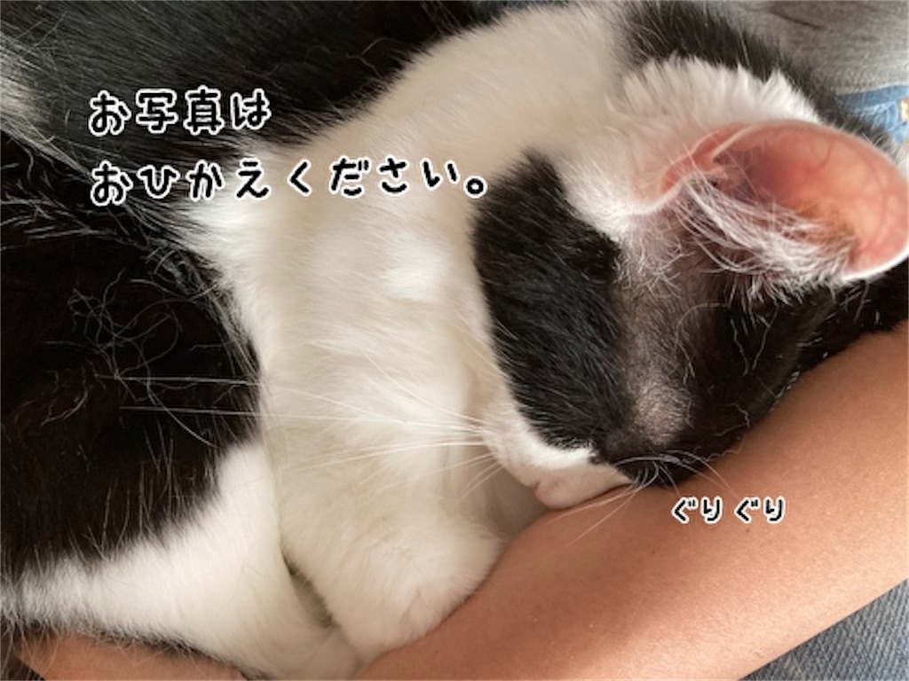 f:id:fukufukudo:20211013145955j:plain