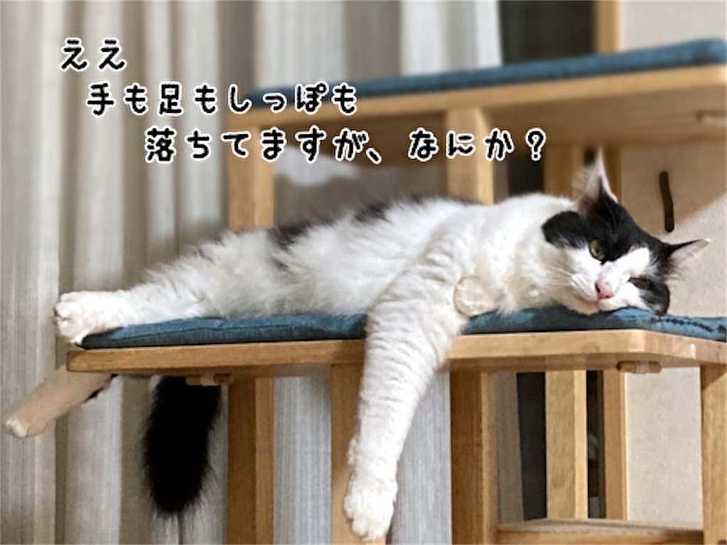 f:id:fukufukudo:20211013150052j:plain