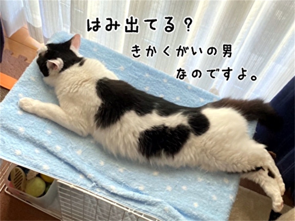 f:id:fukufukudo:20211013150103j:plain