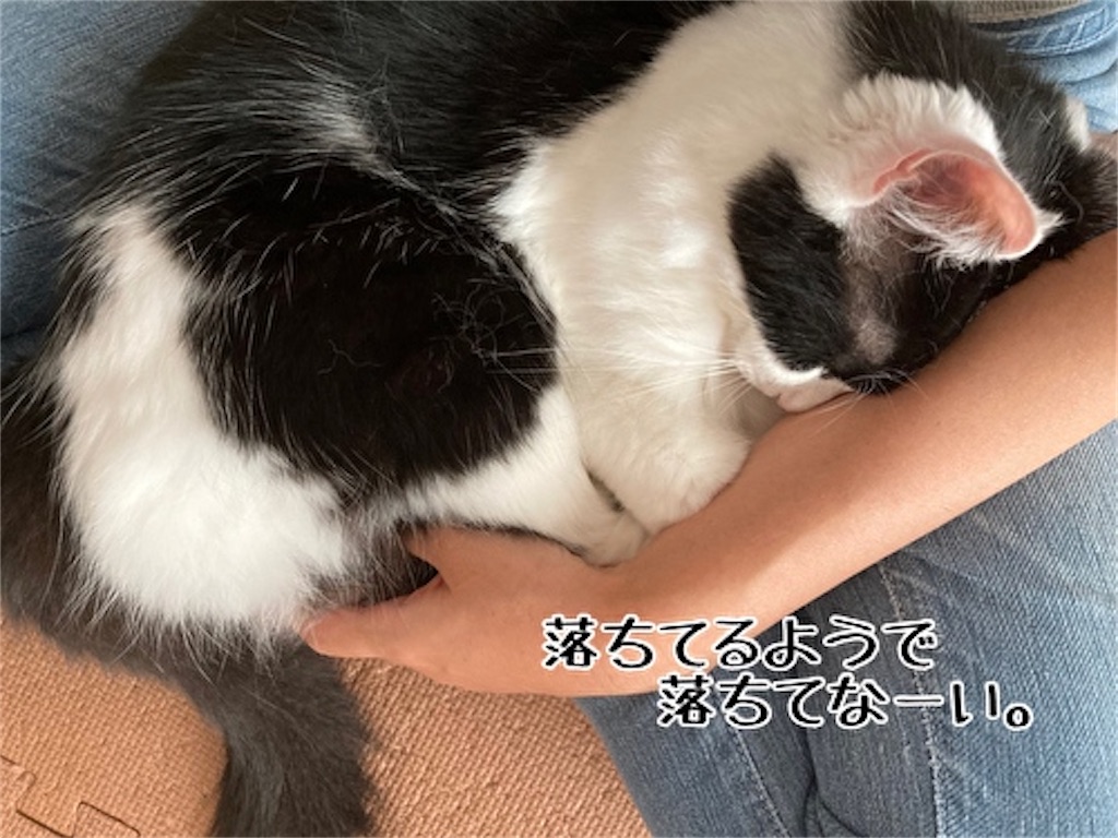 f:id:fukufukudo:20211013150416j:plain