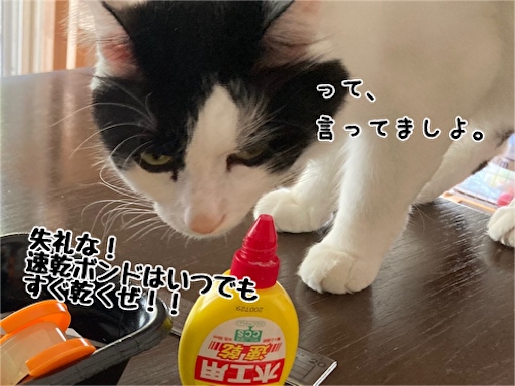 f:id:fukufukudo:20211014184148j:plain