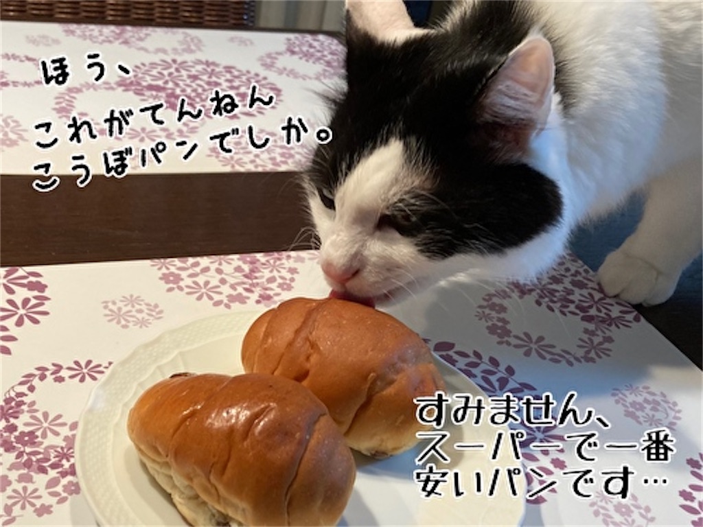f:id:fukufukudo:20211014184157j:plain