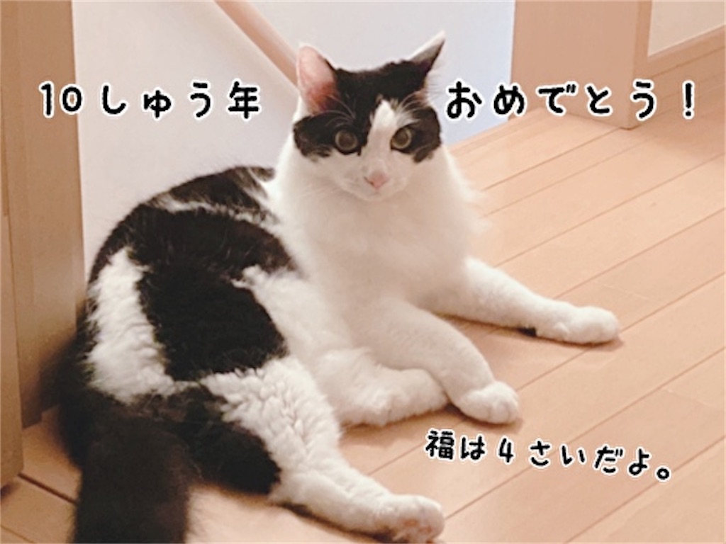 f:id:fukufukudo:20211017110947j:plain