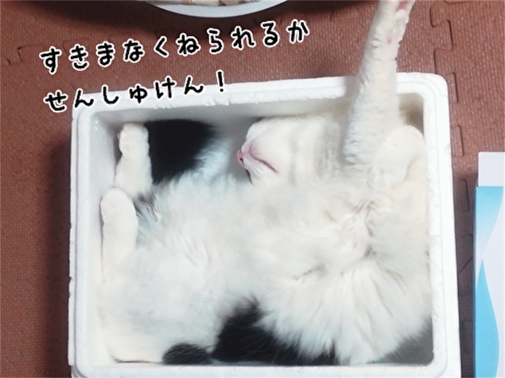 f:id:fukufukudo:20211017111550j:plain