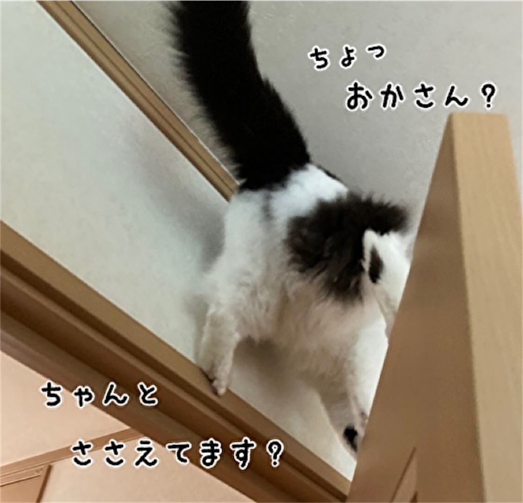 f:id:fukufukudo:20211019170046j:plain