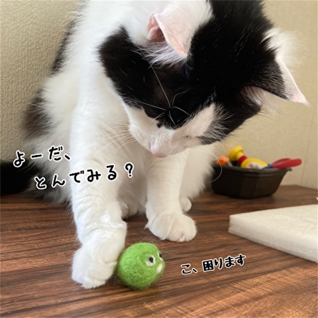 f:id:fukufukudo:20211019170733j:plain