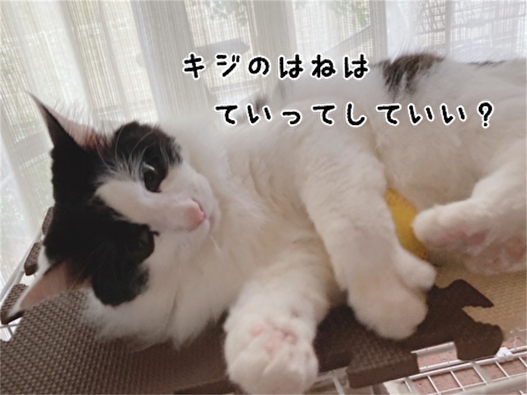 f:id:fukufukudo:20211019172608j:plain