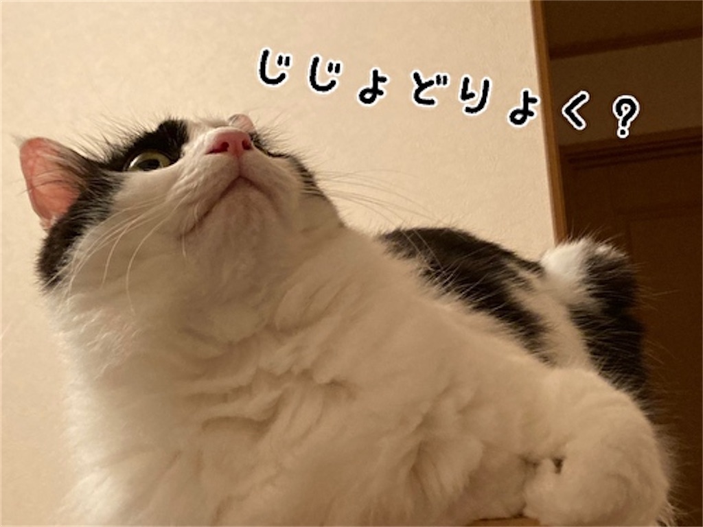 f:id:fukufukudo:20211019173247j:plain