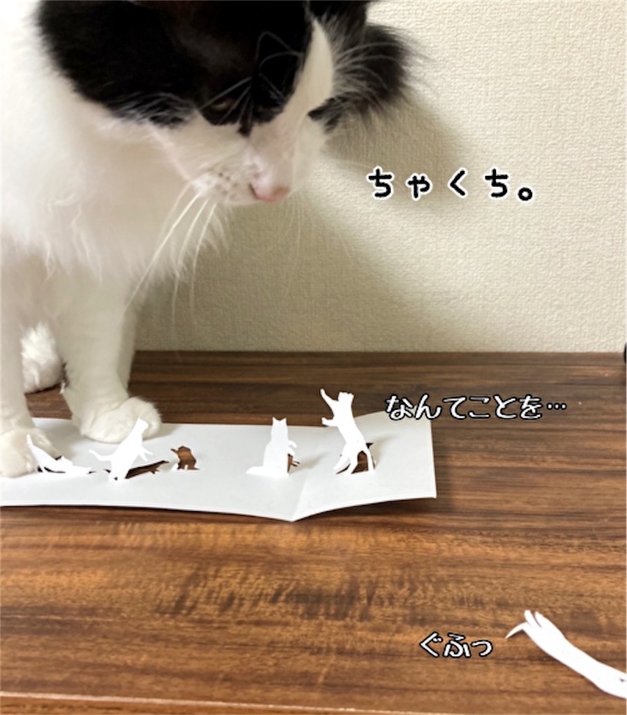 f:id:fukufukudo:20211019173709j:plain