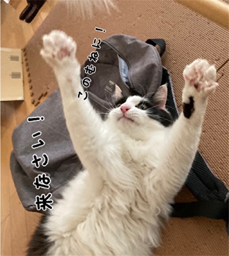 f:id:fukufukudo:20211020171218j:plain